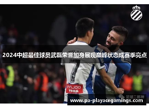 2024中超最佳球员武磊荣誉加身展现巅峰状态成赛季亮点