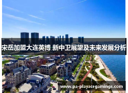 宋岳加盟大连英博 新中卫展望及未来发展分析
