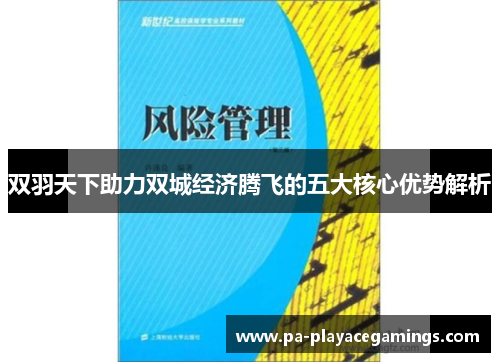 双羽天下助力双城经济腾飞的五大核心优势解析