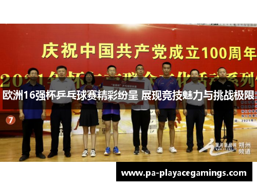 欧洲16强杯乒乓球赛精彩纷呈 展现竞技魅力与挑战极限