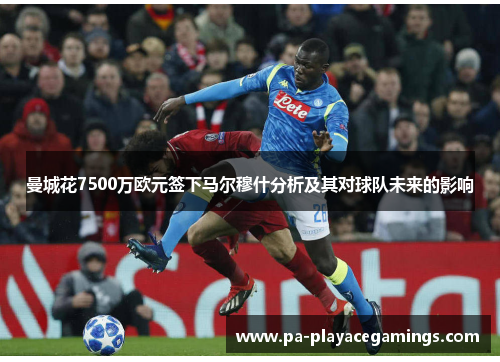 曼城花7500万欧元签下马尔穆什分析及其对球队未来的影响