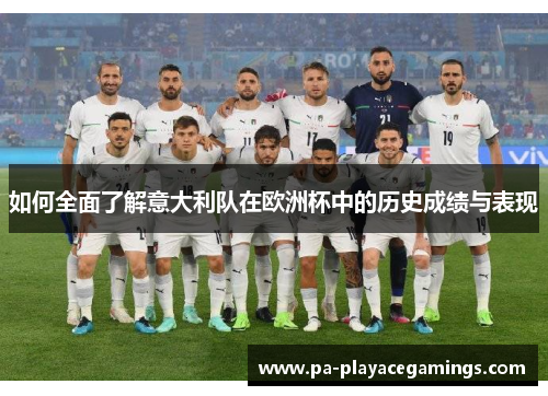如何全面了解意大利队在欧洲杯中的历史成绩与表现
