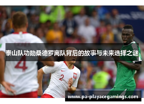 泰山队功勋桑德罗离队背后的故事与未来选择之谜