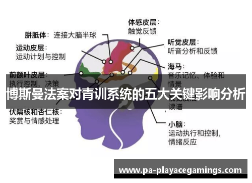 博斯曼法案对青训系统的五大关键影响分析