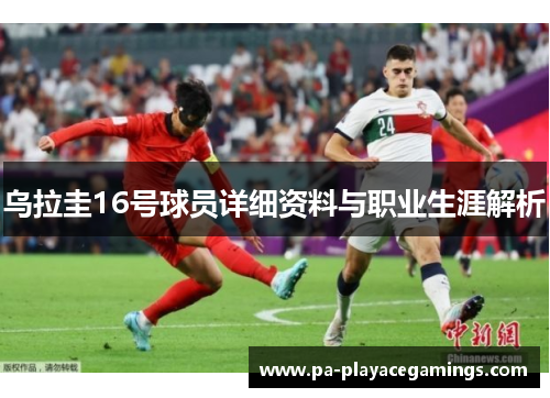 乌拉圭16号球员详细资料与职业生涯解析