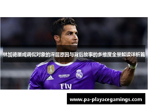 林加德屡成调侃对象的深层原因与背后故事的多维度全景解读详析篇