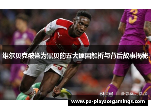 维尔贝克被誉为黑贝的五大原因解析与背后故事揭秘