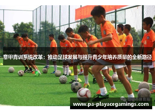意甲青训系统改革:推动足球发展与提升青少年培养质量的全新路径 意甲青训系统改革:推动足球发展与提升青少年培养质量的全新路径