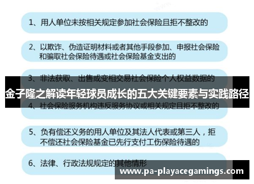 金子隆之解读年轻球员成长的五大关键要素与实践路径